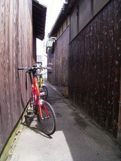 file_20090713T111830696.jpg