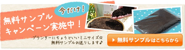 無料サンプル請求!