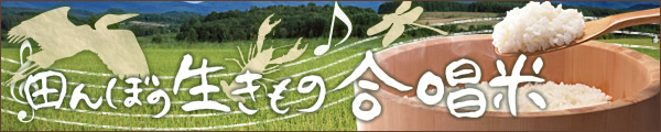 低農薬栽培のお米 田んぼの生きもの合唱米