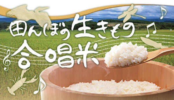 低農薬栽培のお米 田んぼの生きもの合唱米