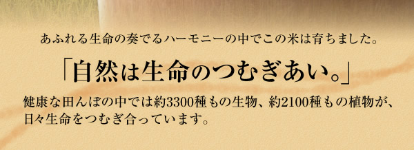 農薬を極度に減らした田んぼにはドジョウやメダカにカエルやトンボなどたくさんの生命(いのち)があふれています。あふれる生命の奏でるハーモニーの中でこの米は育ちました。「自然は生命のつむぎあい。」健康な田んぼの中では約3300種もの生物、約2100種もの植物が、日々生命をつむぎ合っています。