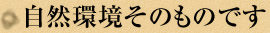 自然環境そのものです